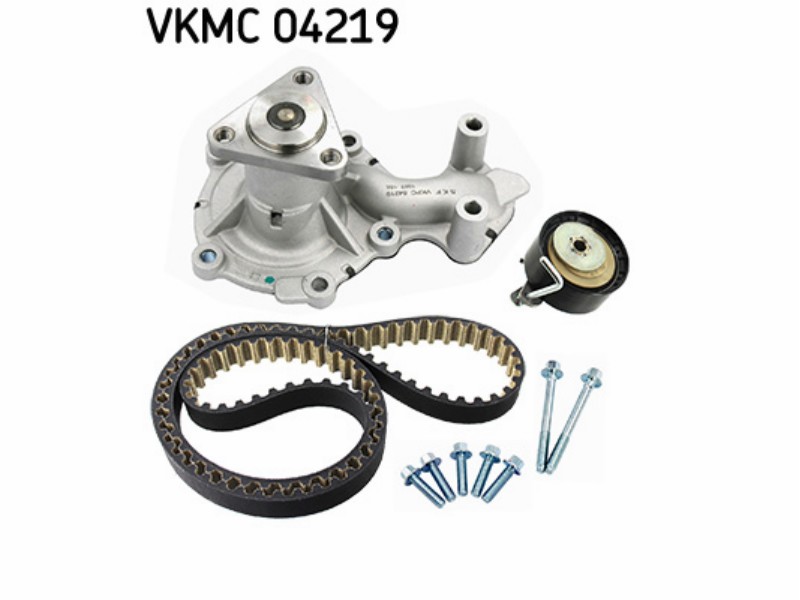 (VKMC04219)