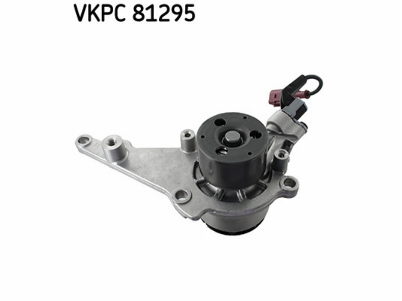 (VKPC81295)