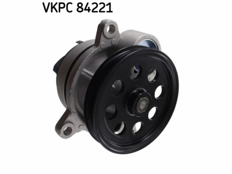 Water pump kit