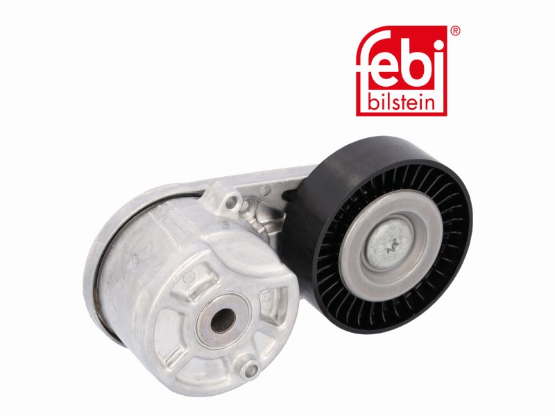 Tensionatore idraulico Ford car: Transit V (19) 4x4,Transit V (19) fwd,Transit V (1