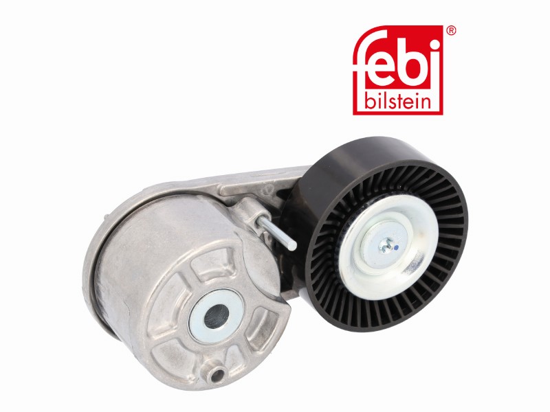 Tensionatore idraulico Ford car: Focus IV (18),mondeo V (14),mondeo V (14) 4x4,to