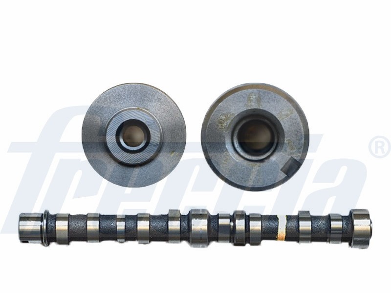 Freccia alberi a camme Fiat grande Punto 1.3 d MultiJet 08-