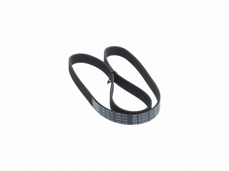 V-ribbed belts