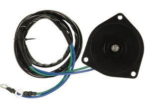 DC electric motor