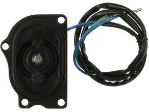 DC electric motor
