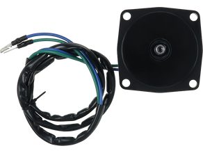 DC electric motor