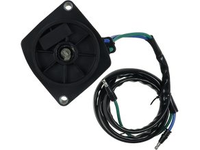 DC electric motor