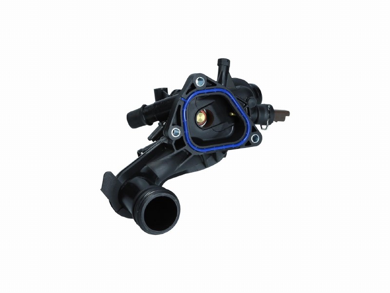 Thermostat, coolant