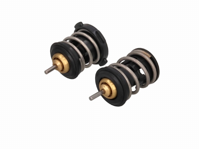 Thermostat, coolant