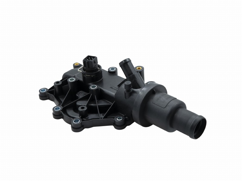 Thermostat, coolant