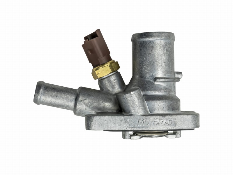 Thermostat, coolant