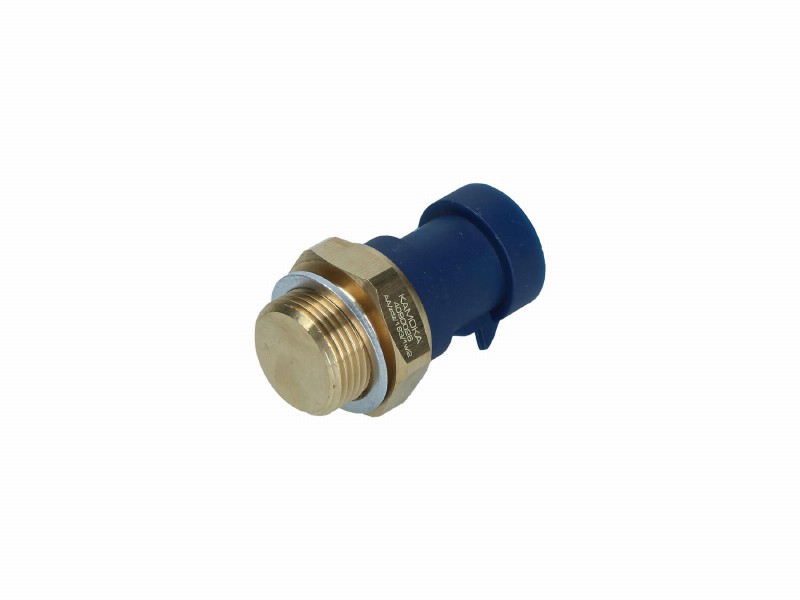 Temperature switch, radiator fan