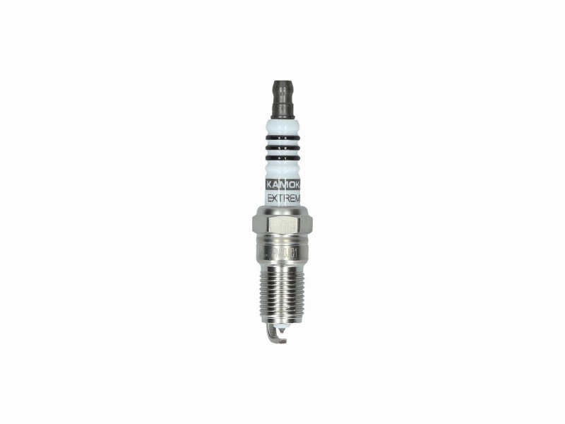 Spark plug