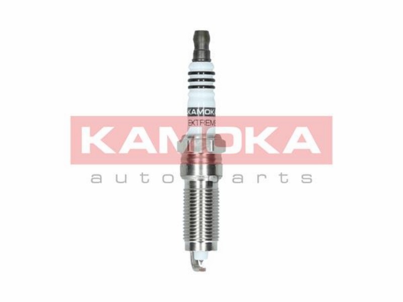 Spark plug