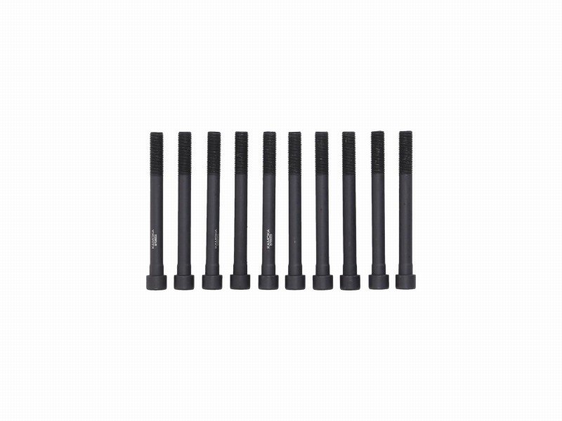Cylinder head bolt kit