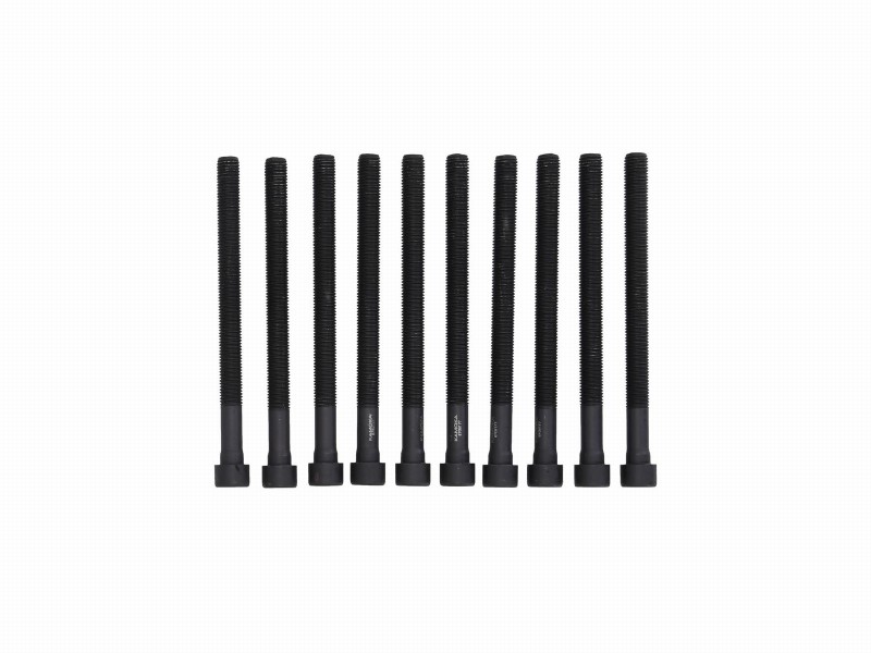 Cylinder head bolt kit