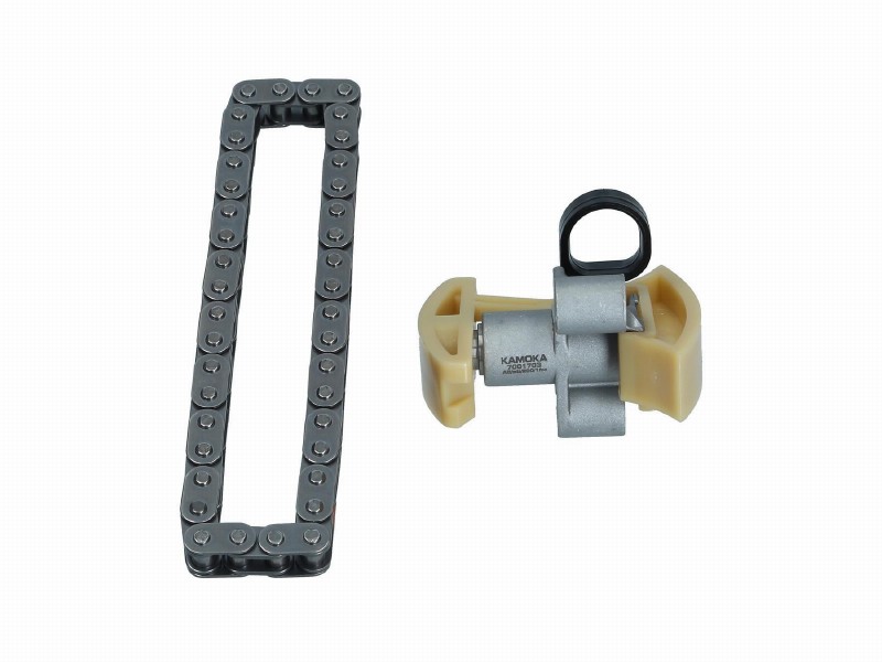 Timing chain kit