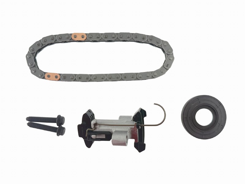 Timing chain kit