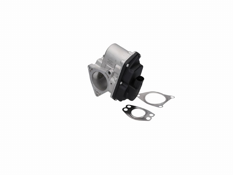 EGR module