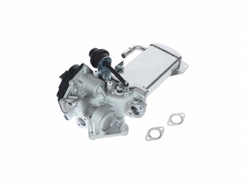 EGR module