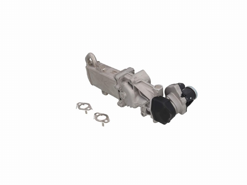 EGR module