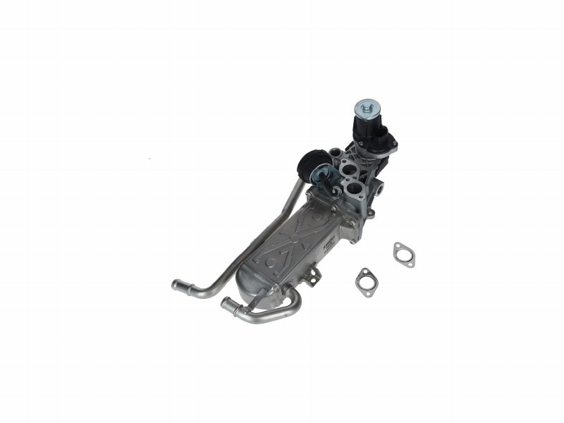 EGR module