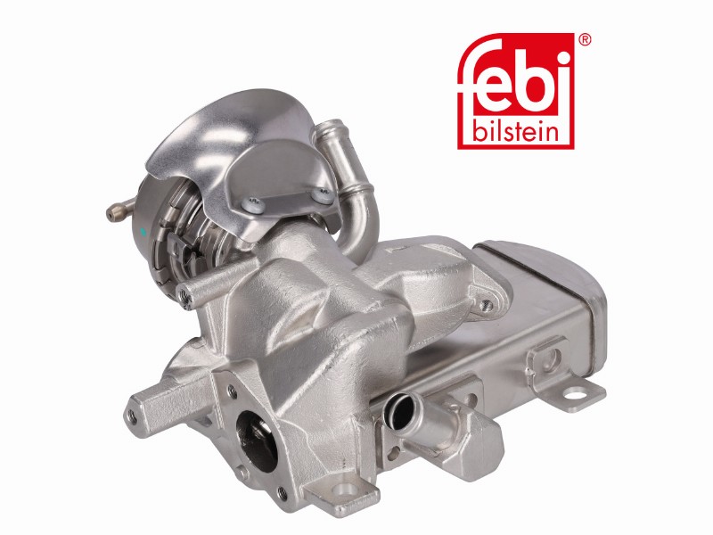 EGR module