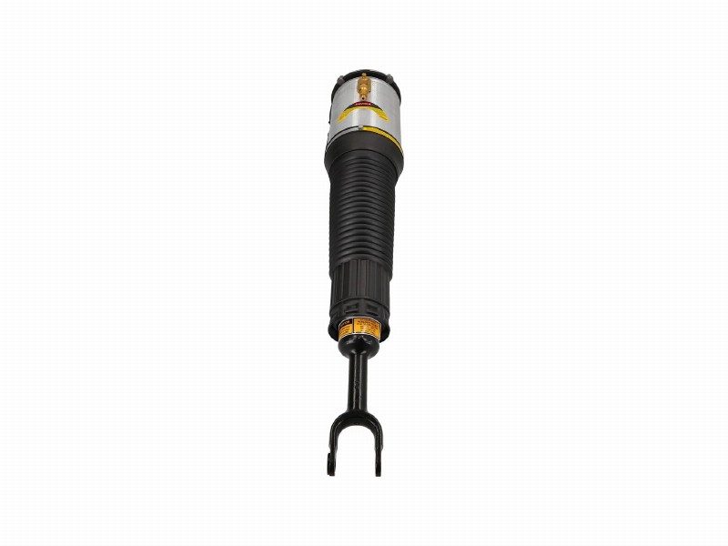 Air spring strut