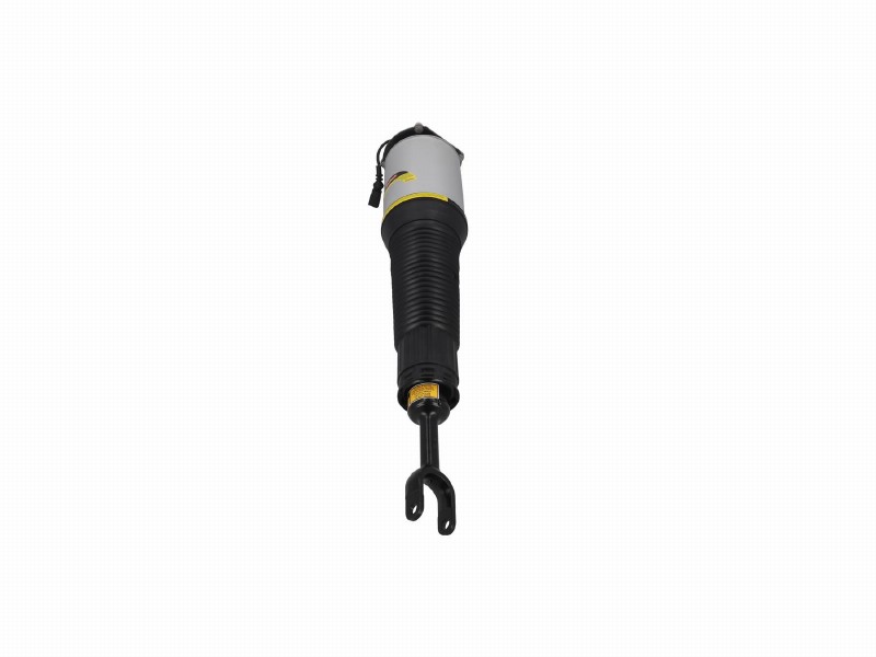 Air spring strut