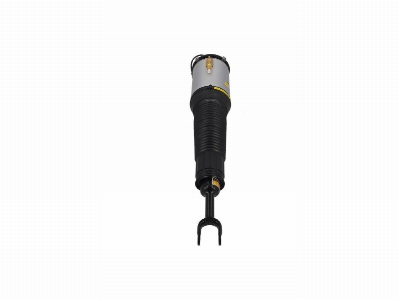 Air spring strut