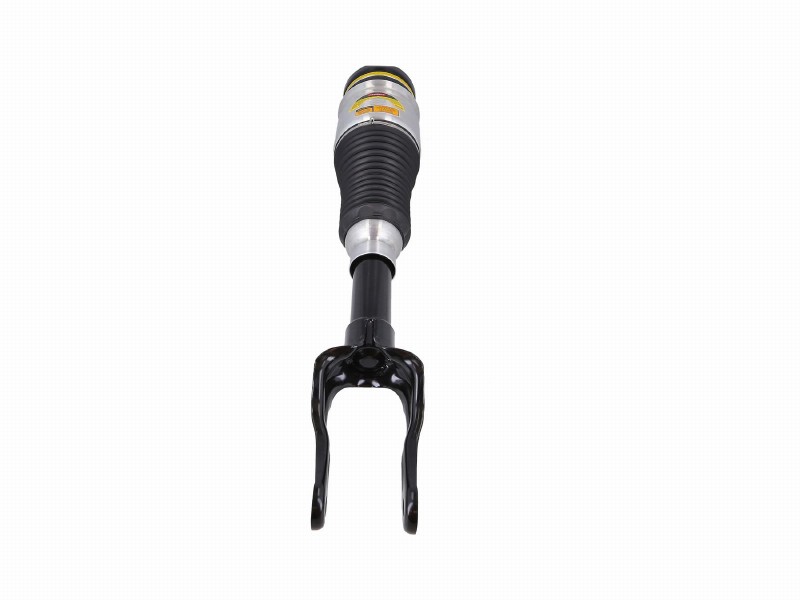 Air spring strut