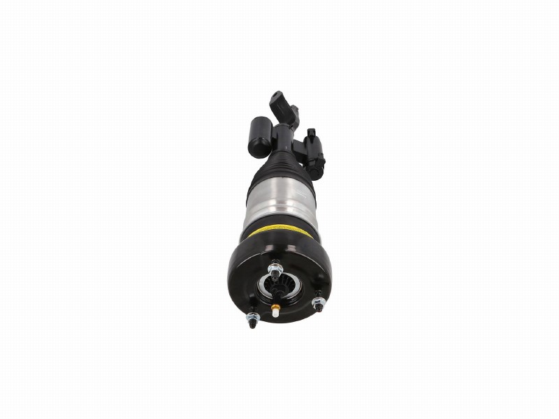 Air spring strut
