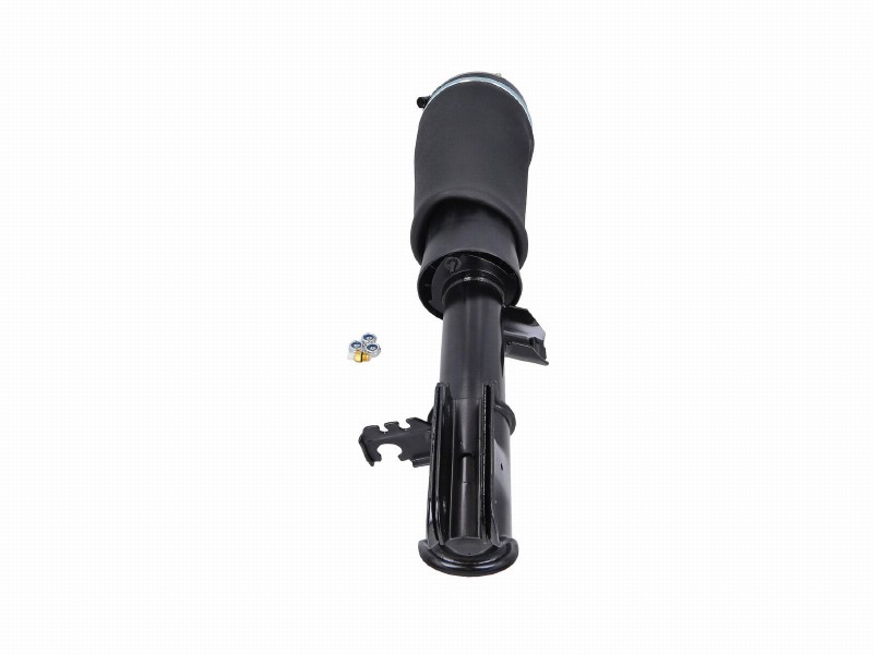 Air spring strut