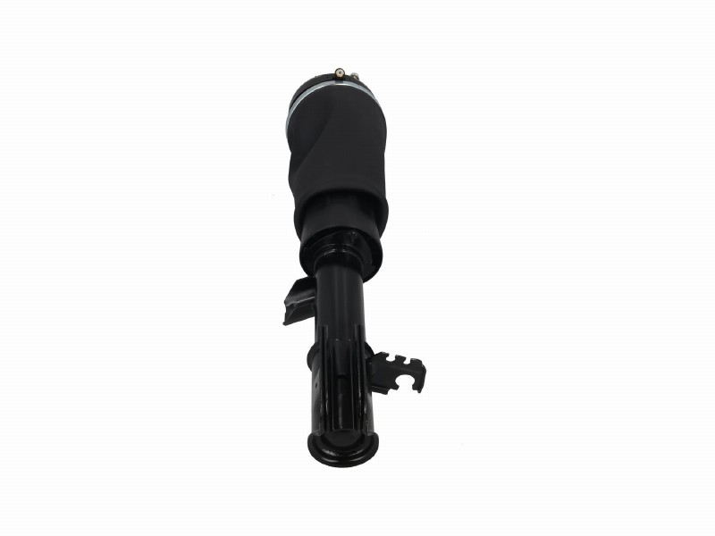 Air spring strut