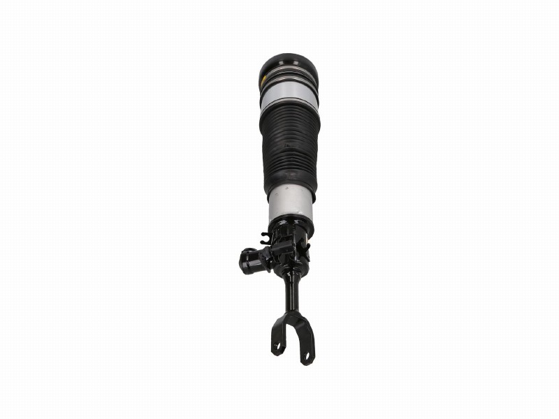 Air spring strut