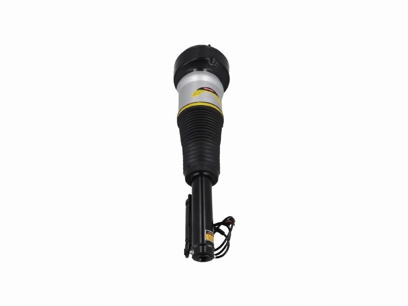 Air spring strut