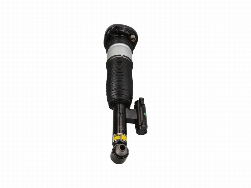 Air spring strut