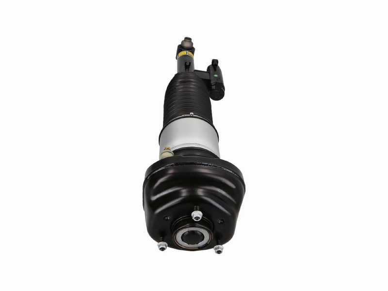 Air spring strut
