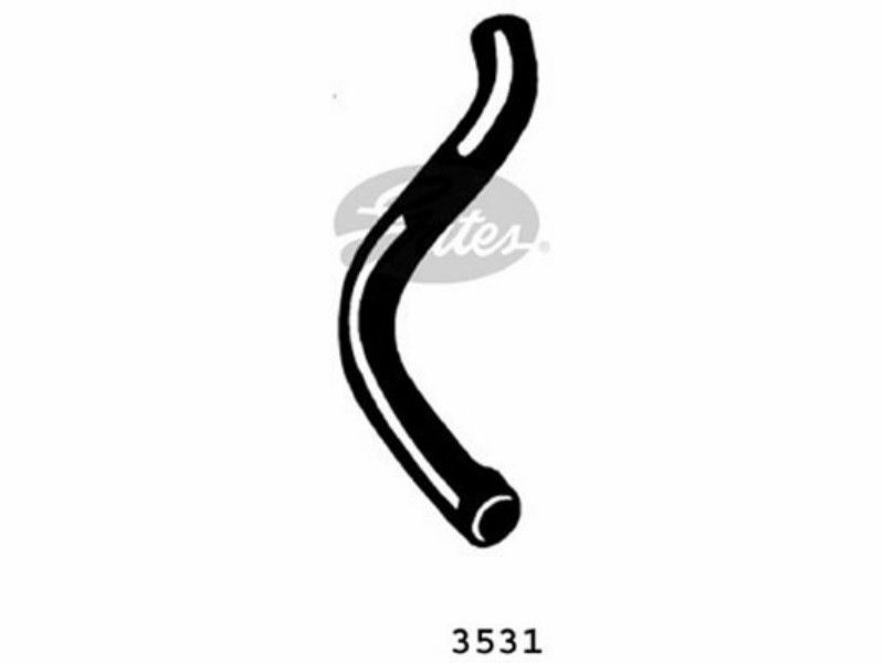 Radiator hose