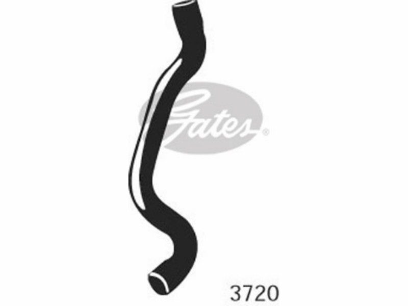 Radiator hose