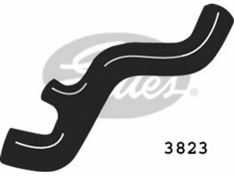 Radiator hose