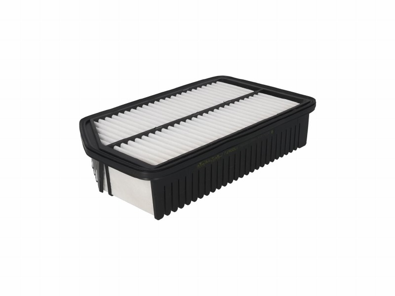 Filtro aria