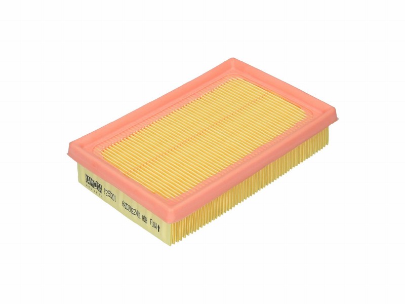 Air filter