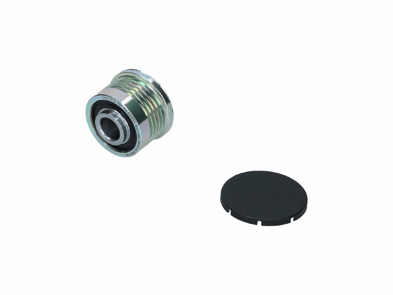 Alternator freewheel device