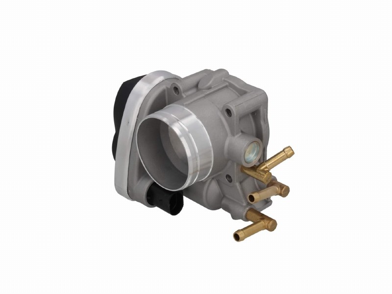 Throttle body
