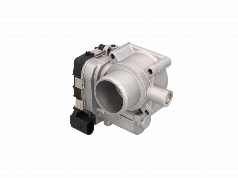 Throttle body