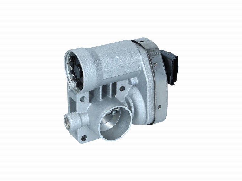 Throttle body