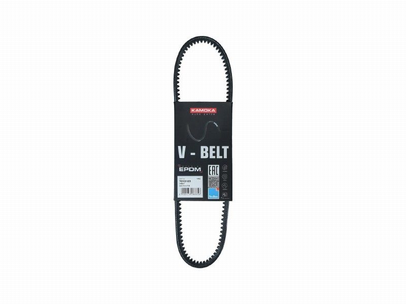 V-belt