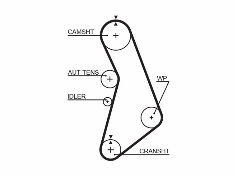 Timing belt