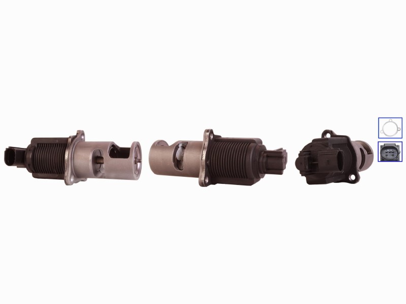 EGR valve
